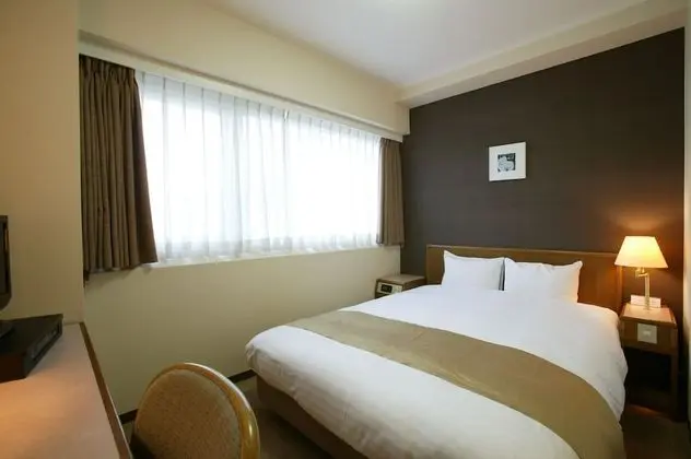 Basic Tek Büyük Yataklı Oda, Sigara İçilebilir