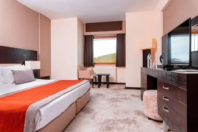 Deluxe Tek Kişilik Oda