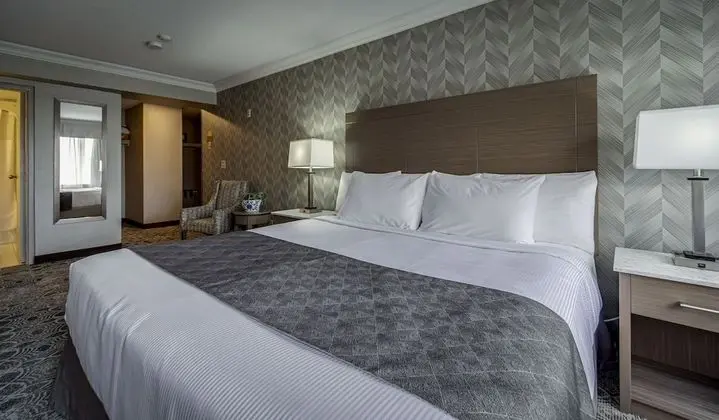Luxury Oda, 1 En Büyük (King) Boy Yatak, Sigara İçilmez