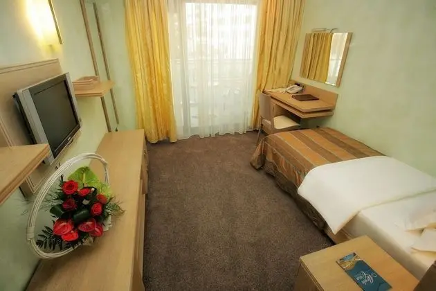 Tek Kişilik Oda, Balkon, Park Manzaralı