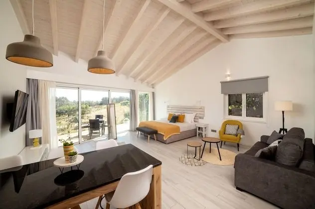 Deluxe Apartment