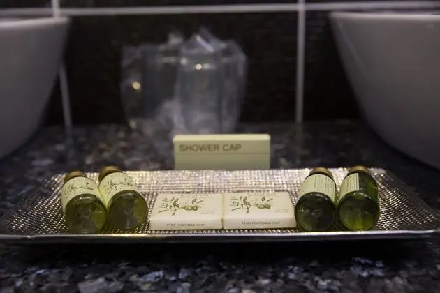 Superior Tek Büyük Yataklı Oda