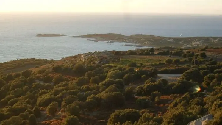 Karavan