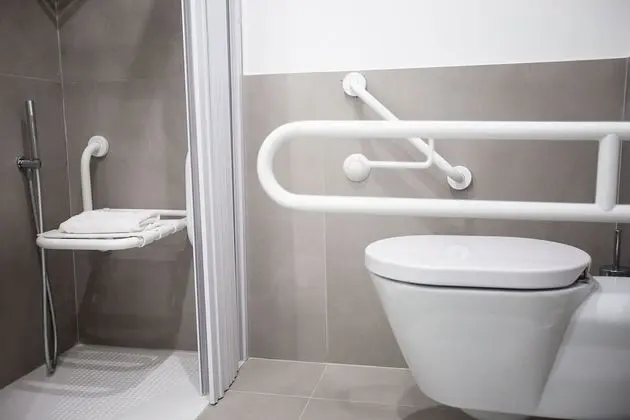 Standard Tek Büyük Yataklı Oda, Engellilere Uygun, Şehir Manzaralı