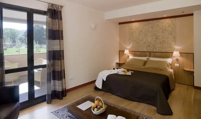 Deluxe Tek Büyük Yataklı Oda (SPA access)