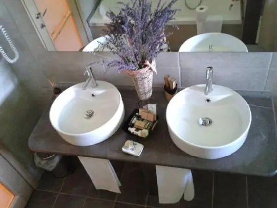 Deluxe Tek Büyük Yataklı Oda (SPA access)