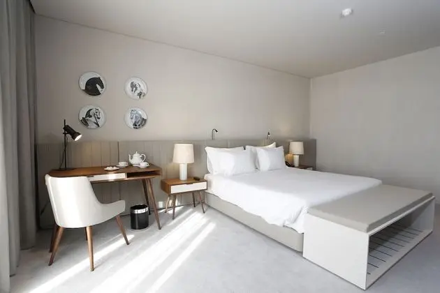 Standard Tek Büyük Yataklı Oda (main building)