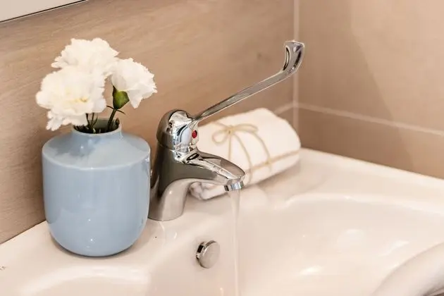 Standard Tek Büyük veya İki Ayrı Yataklı Oda, Havuz Manzaralı (Ferrara)