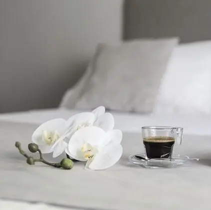 Standard Tek Büyük veya İki Ayrı Yataklı Oda, Park Manzaralı (Modena)