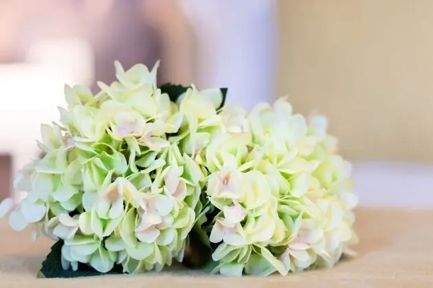 Standard Tek Büyük veya İki Ayrı Yataklı Oda, Park Manzaralı (Modena)