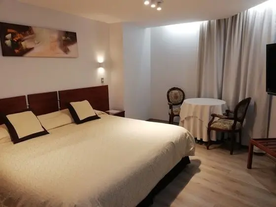 Superior Tek Büyük Yataklı Oda, 1 En Büyük (King) Boy Yatak, Sigara İçilmez