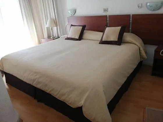 Superior Tek Büyük Yataklı Oda, 1 En Büyük (King) Boy Yatak, Sigara İçilmez
