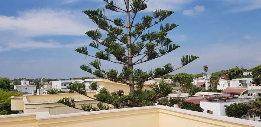 Apart Daire, 2 Yatak Odası, Teras