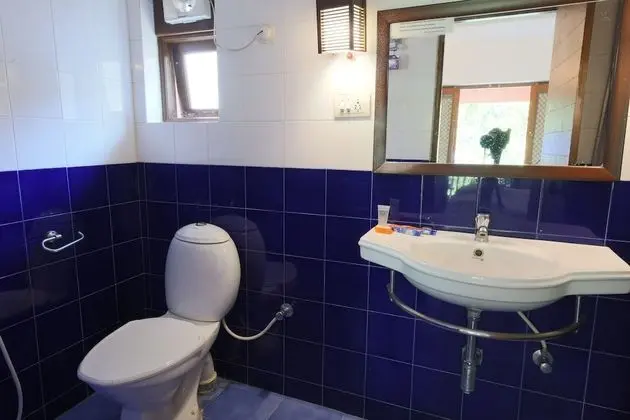 Deluxe Oda, 1 Çift Kişilik Yatak (Casa)