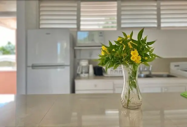 3rd Floor Balcony, Garden View Studio