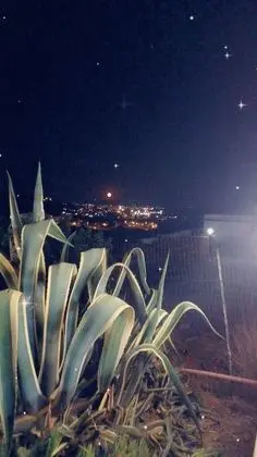 Ev, 3 Yatak Odası, Balkon