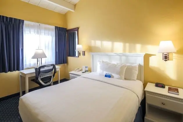 Standard Oda, 1 Büyük (Queen) Boy Yatak (Pet Friendly)