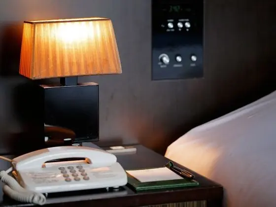 Standard Tek Büyük Yataklı Oda, Sigara İçilmez (140cm Bed)