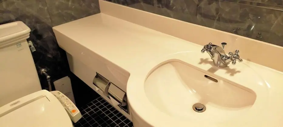 Deluxe İki Ayrı Yataklı Oda, Sigara İçilmez (40sqm)