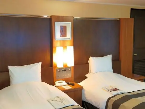 Luxury İki Ayrı Yataklı Oda, Sigara İçilmez (Luxury twin room, 46aqm)
