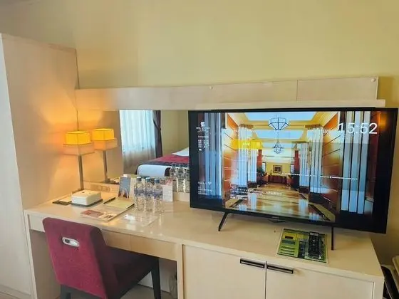Televizyon