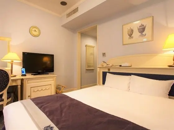 Tek Büyük Yataklı Oda, Sigara İçilmez (Bed Size: 160cm)