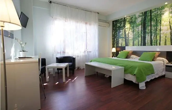 Standard Tek Büyük Yataklı Oda