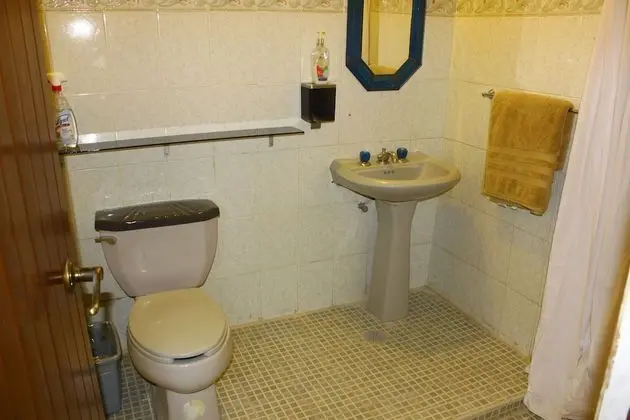 Basic Tek Büyük Yataklı Oda, 1 Çift Kişilik Yatak, Özel Banyo