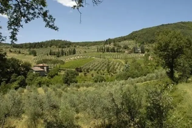Panoramic Apart Daire, 1 Yatak Odası (Montescalari 2)