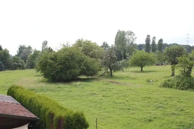 Basic Apartment, 3 Bedrooms