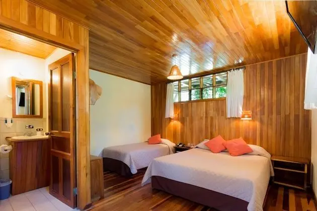 Clasic Room - 1 Queen Bed & 1 Single