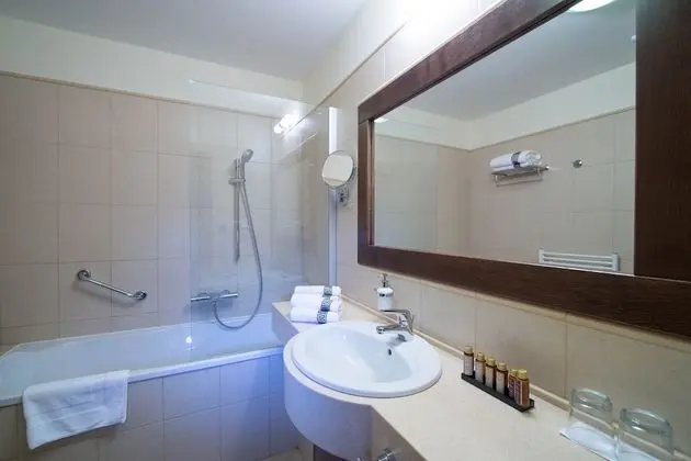 Standard Tek Büyük veya İki Ayrı Yataklı Oda, Dağ Manzaralı (Standard Plus)