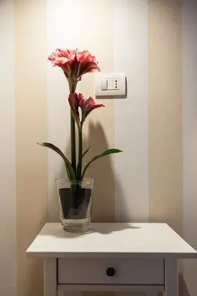 Comfort Üç Kişilik Oda