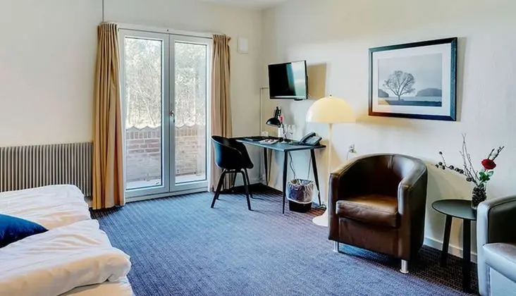 Superior Tek Büyük Yataklı Oda