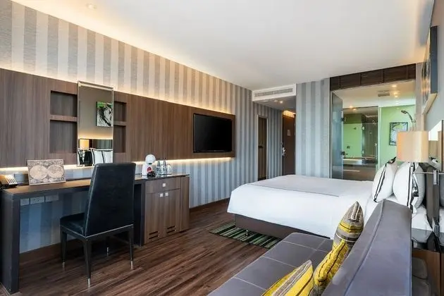 Executive City View Room
