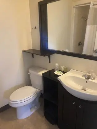 Standard Büyük Yataklı Tek Kişilik Oda, 2 Çift Kişilik Yatak