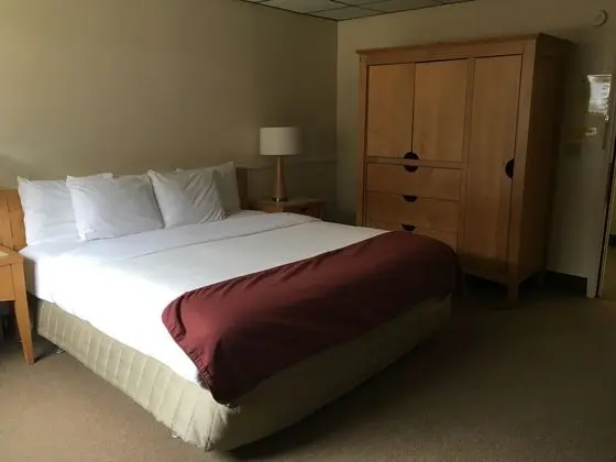 Standard Tek Kişilik Oda, 1 En Büyük (King) Boy Yatak