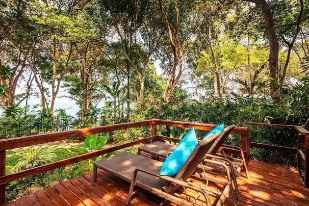 Canopy Suite