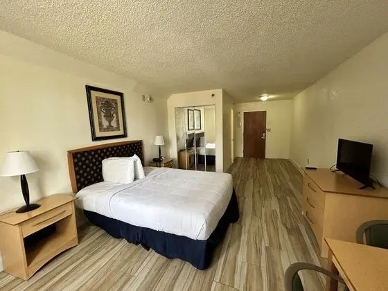Standard Room,1 King, Accessible