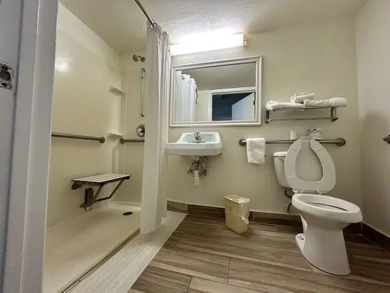 Standard Room,1 King, Accessible