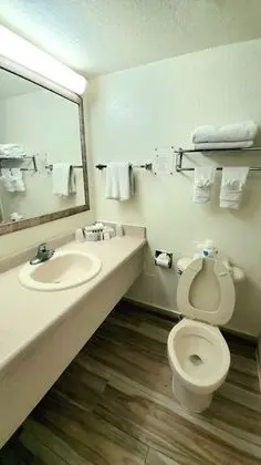Standard Tek Büyük Yataklı Oda, 2 Çift Kişilik Yatak