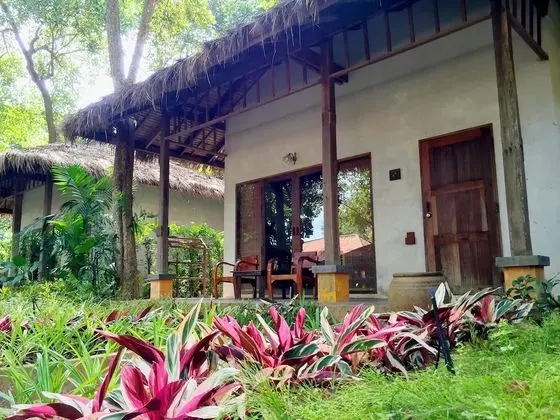Standard Bungalov