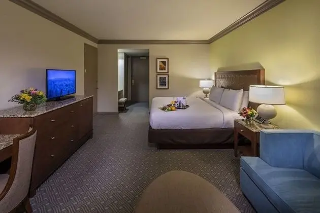 One King with Sleeper Sofa, Island View