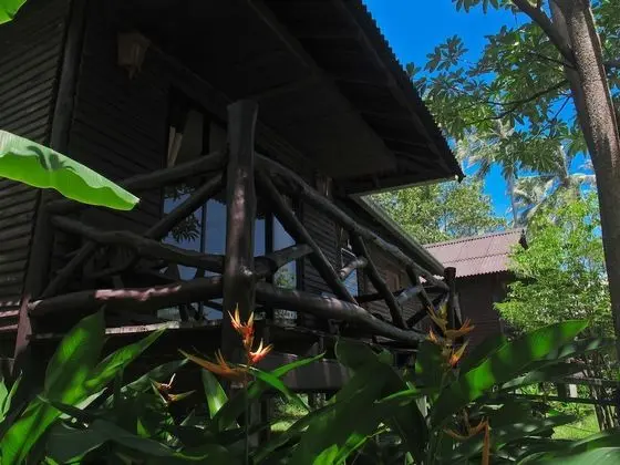 Deluxe Bungalov (A/C - Double Bed)