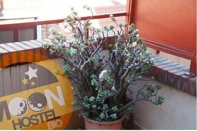 Tek Büyük Yataklı Oda, Özel Banyo