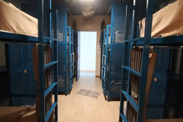 8 Bed Mixed Dorm Shared Bathroom