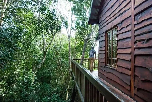 Family Kulübe, Dağ Manzaralı
