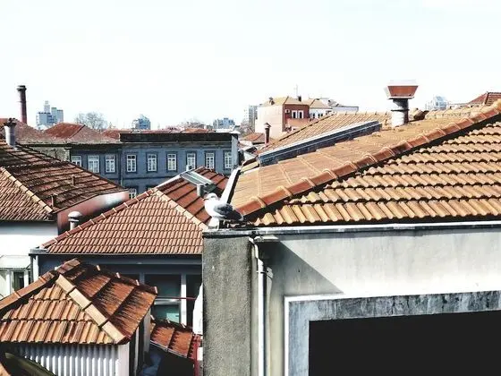 Premium Tek Büyük Yataklı Oda, Şehir Manzaralı