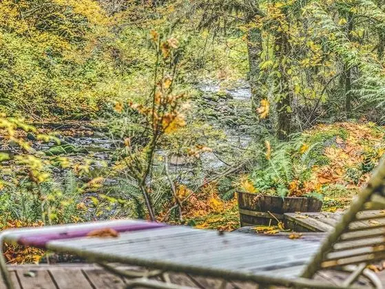 Kulübe, Birden Çok Yatak (Moondance Cabin)