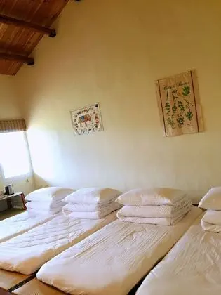 Family Dört Kişilik Oda, Birden Çok Yatak